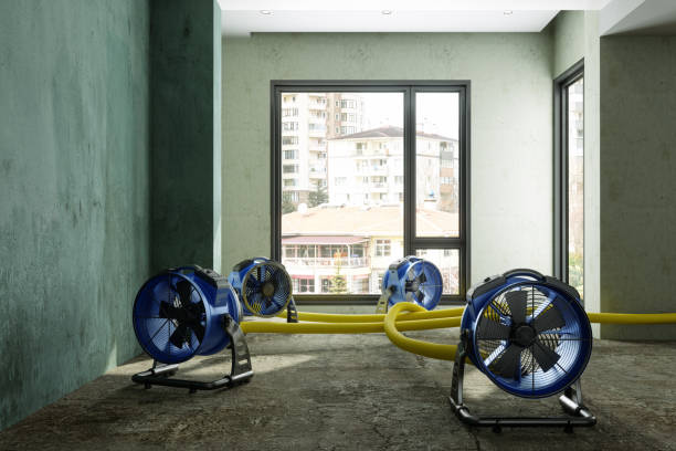 Best Emergency water damage restoration  in Pistakee Highlands, IL
